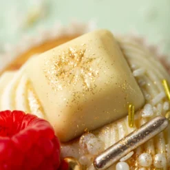 Schickeria -Super Streusel SuperStreuselHimbeerRaffaelloCupcakesSchickeria shop 19